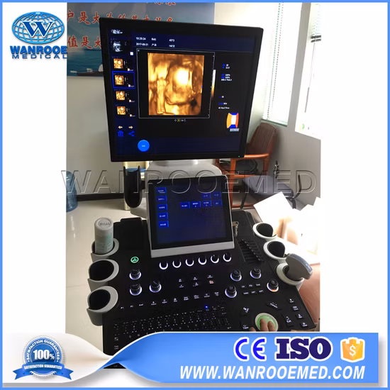 Usc900 Medical Trolley 4D Ultraschall-Diagnosesystem Farbdoppler-Ultraschallscanner
