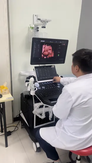 Dwt50 Medizinisches Ultraschall-Diagnosegerät Hoch
